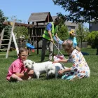 Business 2 image PET BUTLER Waste Management in Lexington KY