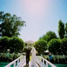 Business 7 image PETER BRUCE PHOTO & VIDEO Photography & Videography in San Francisco CA