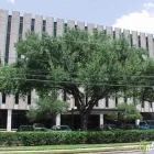 Business 1 image PETER C. COUSINS, PH.D. Forensic Consultants in Houston TX