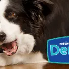 Business 5 image PETSMART Birds & Bird Supplies in Oklahoma City OK