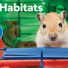 Business 8 image PETSMART Tropical Fish in Avon IN