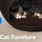 Business 6 image PETSMART Veterinarians in Indianapolis IN