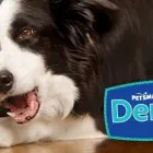 Business 10 image PETSMART PetSmart in North Las Vegas NV