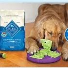 Business 9 image PETSMART Pet Adoption Service in Midwest City OK