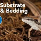 Business 3 image PETSMART Pet Adoption Service in Richmond VA