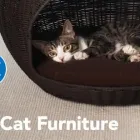 Business 5 image PETSMART Pet Adoption Service in Richmond VA