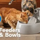 Business 12 image PETSMART Pet Adoption Service in Kansas City MO