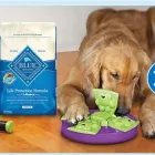 Business 4 image PETSMART Pet Adoption Service in Johnston RI