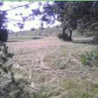 Business 3 image PHILLIPS SERVICES UNLIMITED Rototilling in Weatherford TX