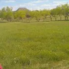 Business 5 image PHILLIPS SERVICES UNLIMITED Rototilling in Weatherford TX