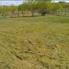 Business 10 image PHILLIPS SERVICES UNLIMITED Rototilling in Weatherford TX