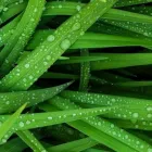 Business 1 image PICTURE PERFECT PROPERTY MANAGEMENT in Hampton GA