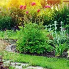 Business 7 image PICTURE PERFECT PROPERTY MANAGEMENT in Hampton GA