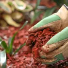 Business 8 image PICTURE PERFECT PROPERTY MANAGEMENT in Hampton GA