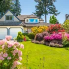 Business 10 image PICTURE PERFECT PROPERTY MANAGEMENT in Hampton GA