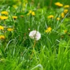 Business 14 image PICTURE PERFECT PROPERTY MANAGEMENT in Hampton GA