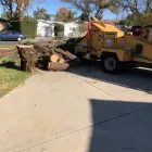 Business 3 image PINEDA'S TREE CARE in Winnetka CA