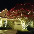 Business 2 image PINK PRO HOLIDAY LIGHTS Christmas Lights Installation in Birmingham MI