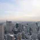 Business 6 image PLACES IN PARADISE TRAVEL Travel Agency in Evansville IN