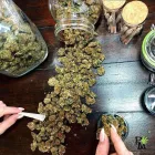 Business 2 image PLANT MED OKC DISPENSARY in Oklahoma City OK