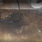 Business 1 image POINT MOLD MASTERS Water Damage Fire Damage Restoration in Delray Beach FL
