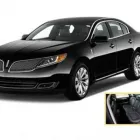 Business 1 image PONTARELLI COMPANIES Limousine Service in Chicago IL