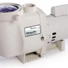 Business 2 image POOL MOTOR SUPPLY Swimming Pool Contractors in Plano TX