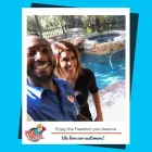 Business 43 image POOL TROOPERS Swimming Pool Contractors in Winter Park FL