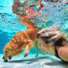 Business 46 image POOL TROOPERS Swimming Pool Contractors in Winter Park FL