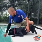 Business 72 image POOL TROOPERS Swimming Pool Contractors in Winter Park FL