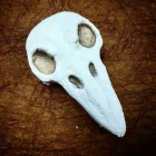 Business 16 image POP FIZZION BATH AND BODY in Del City OK