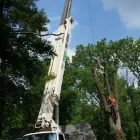 Business 2 image POWELL PROPERTY MAINTENANCE &TREE SERVICE Stump Removal in Hatboro PA