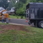 Business 6 image POWELL PROPERTY MAINTENANCE &TREE SERVICE Stump Removal in Hatboro PA