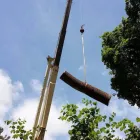 Business 7 image POWELL PROPERTY MAINTENANCE &TREE SERVICE Stump Removal in Hatboro PA