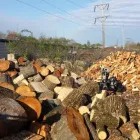 Business 8 image POWELL PROPERTY MAINTENANCE &TREE SERVICE Stump Removal in Hatboro PA