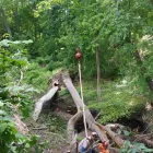 Business 9 image POWELL PROPERTY MAINTENANCE &TREE SERVICE Stump Removal in Hatboro PA