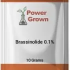 Business 1 image POWER GROWN Plant Growth Regulator in Sacramento CA