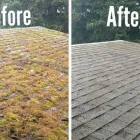 Business 1 image POWER WASHING PROFESSIONALS in Vancouver WA