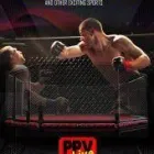 Business 4 image PPV LIVE EVENTS, LLC (PAYPERVIEWLIVEEVENTS) in Dover DE