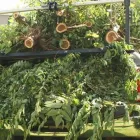 Business 3 image PRAIRIE DIRT SOLUTIONS Plant Nurseries & Garden Centers in Oklahoma City OK