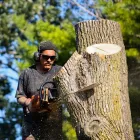 Business 1 image PRECISION TREE in Colorado Springs CO