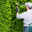 Business 2 image PRECISION TREE in Colorado Springs CO