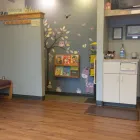 Business 9 image PREFERRED DENTAL CARE Dentistry in Indianapolis IN