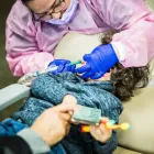 Business 11 image PREFERRED DENTAL CARE Dentistry in Indianapolis IN