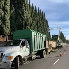 Business 6 image PREMIER TREE EXPERTS in Orange CA