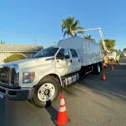 Business 7 image PREMIER TREE EXPERTS in Orange CA