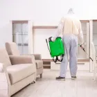 Business 3 image PRESTO PEST CONTROL, INC. Termite Control Service in San Jose CA