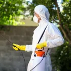 Business 4 image PRESTO PEST CONTROL, INC. Termite Control Service in San Jose CA