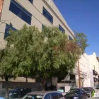 Business 1 image PRIVRATSKY ROBERT N DC Chiropractors & Chiropractic Services in San Francisco CA