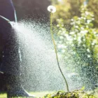 Business 2 image PROCURB LANDSCAPING LLC Landscaping & Lawn Services in Moore OK